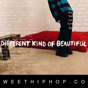 Alec Benjamin – Different Kind Of Beautiful