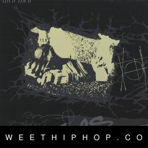 BabyDrill – Express Myself
