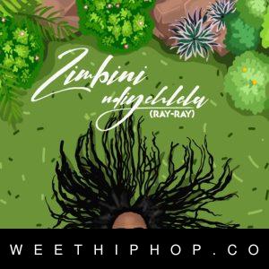 Zimbini – Ndiyehlela Album